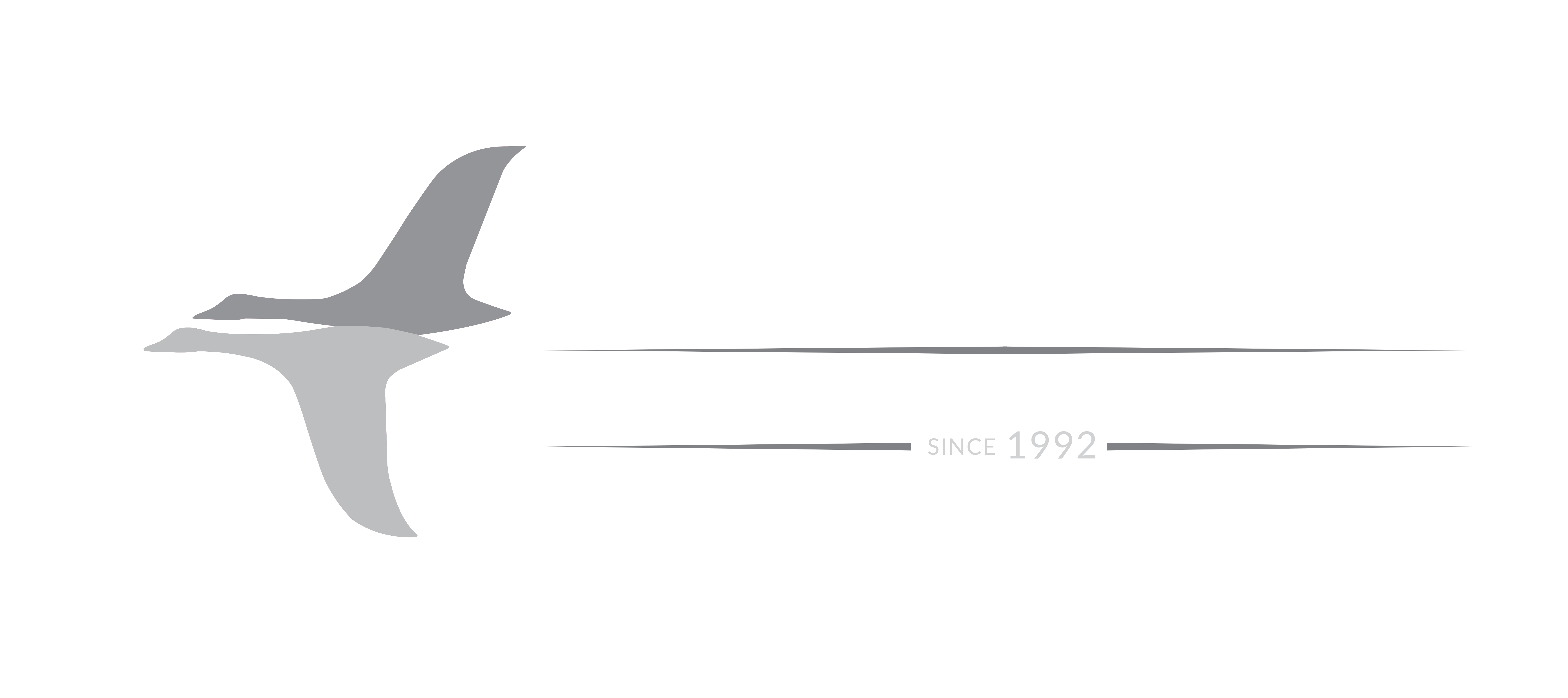 About Fly Fast Asia